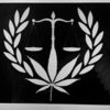 Feds to Tackle Marijuana Banking Problems
